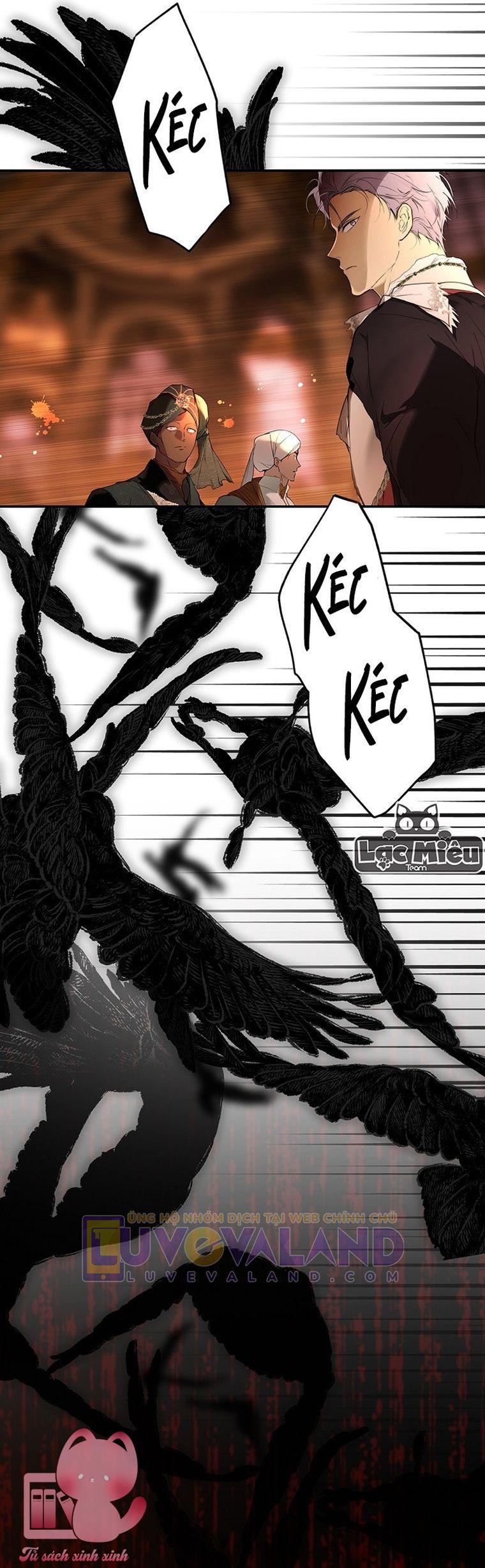 Quý Cô Bí Ẩn - Chap 63 - Trang 23