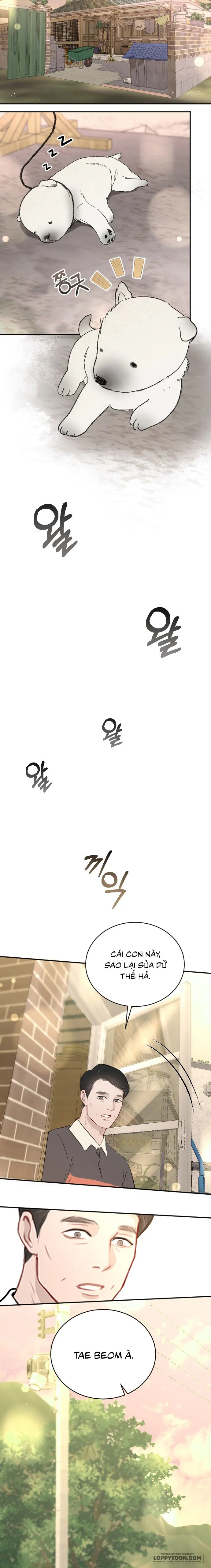 Quyền Lực Của Thư Ký - Chap 51 - Trang 11