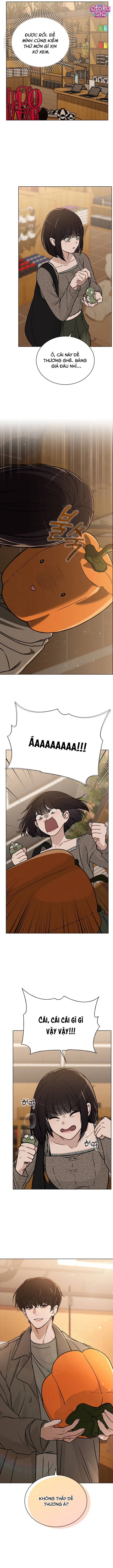 Review tình yêu - Chap 13 - Trang 8