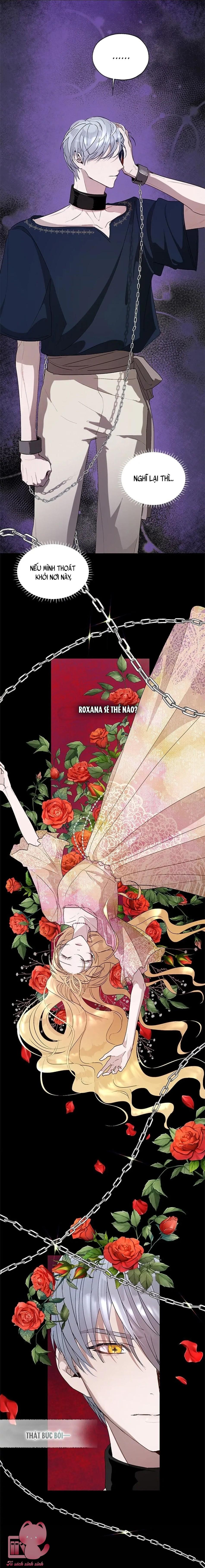 Roxana: Phương Pháp Bảo Vệ Anh Trai Của Nữ Chính - Chap 21 - Trang 8