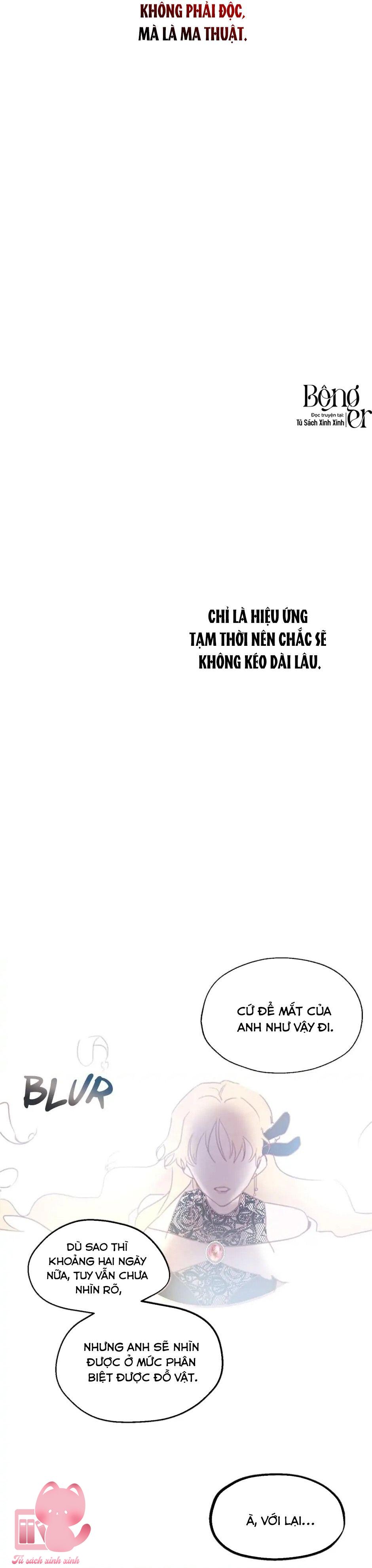 Roxana: Phương Pháp Bảo Vệ Anh Trai Của Nữ Chính - Chap 3 - Trang 15