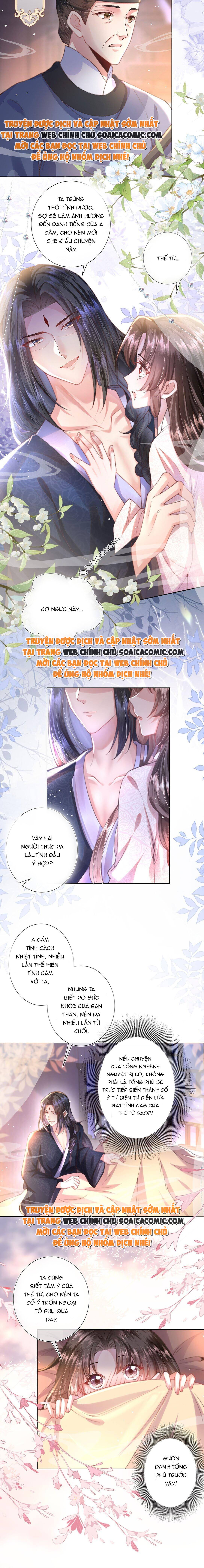 Sau Hắc Hóa Thái Tử Cứ Dính Lấy Vợ - Chap 3 - Trang 6