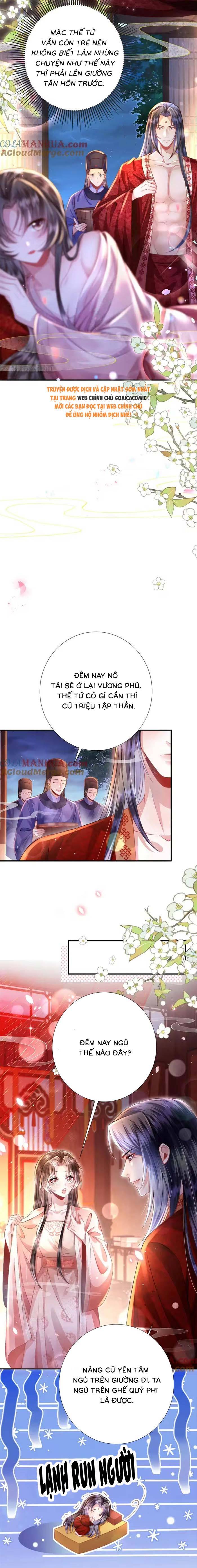 Sau Hắc Hóa Thái Tử Cứ Dính Lấy Vợ - Chap 36 - Trang 5