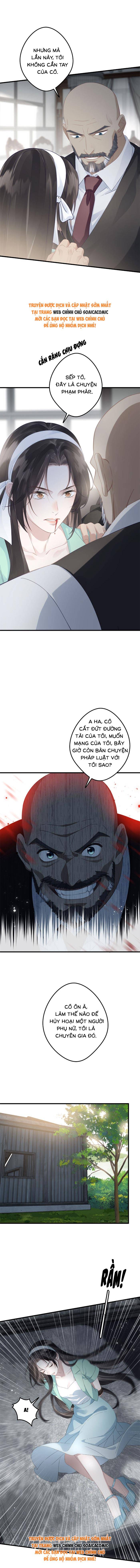 Sau Ly Hôn Chồng Cũ Cứ Muốn Trở Lại Làm Chính Thất - Chap 23 - Trang 10