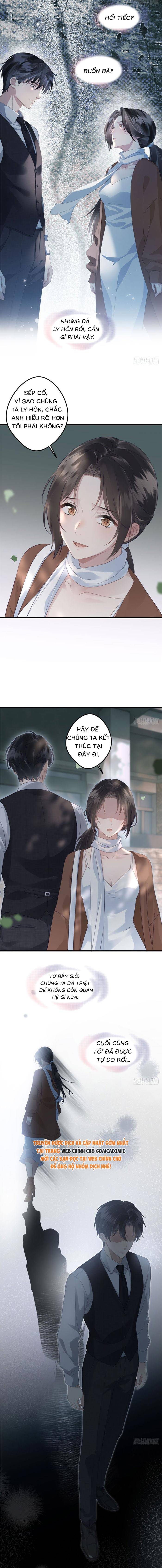 Sau Ly Hôn Chồng Cũ Cứ Muốn Trở Lại Làm Chính Thất - Chap 31 - Trang 2
