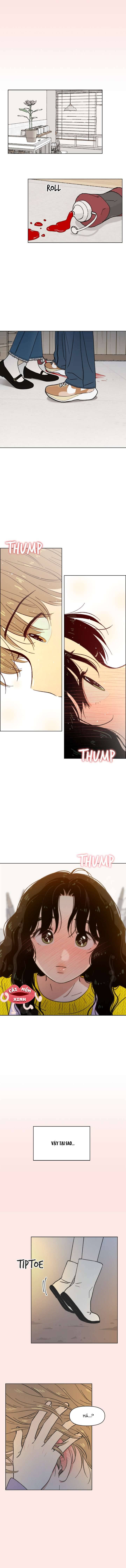 Seasons of Lovesome - Chap 26 - Trang 2