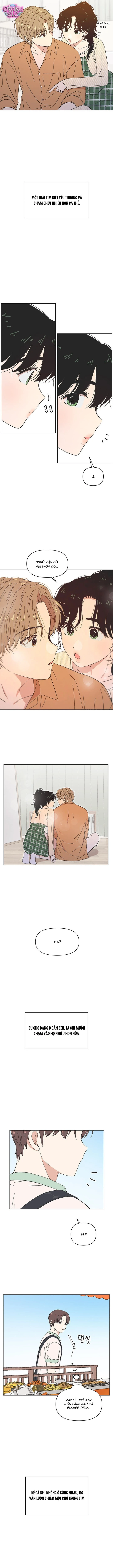 Seasons of Lovesome - Chap 60 - Trang 3