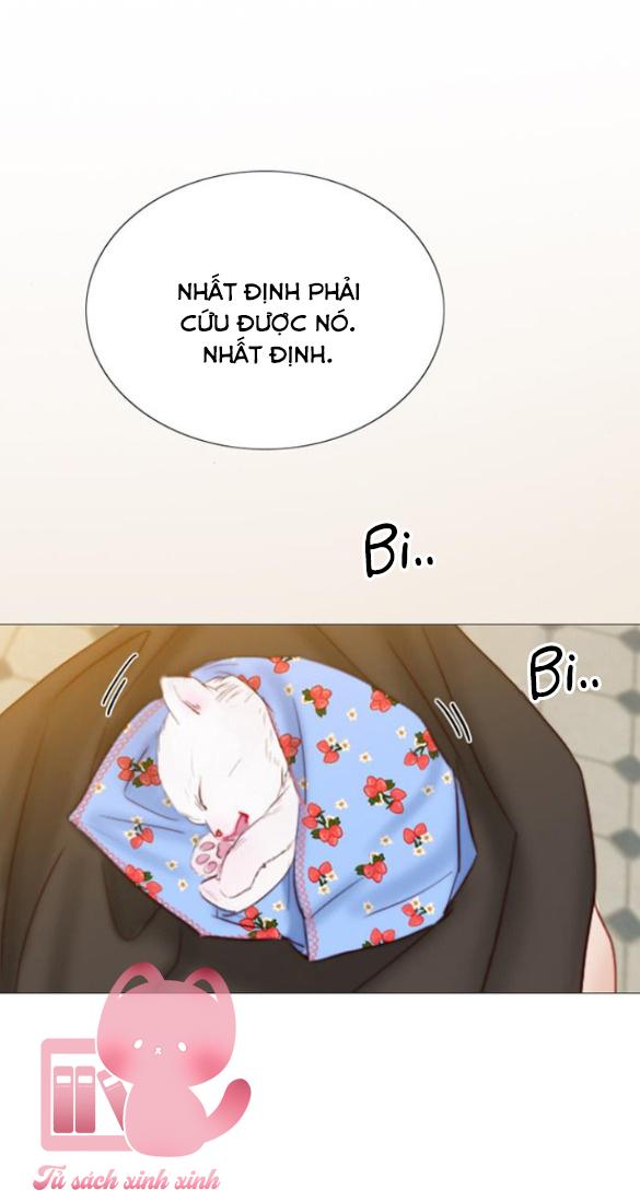 Serena - Chap 41 - Trang 16