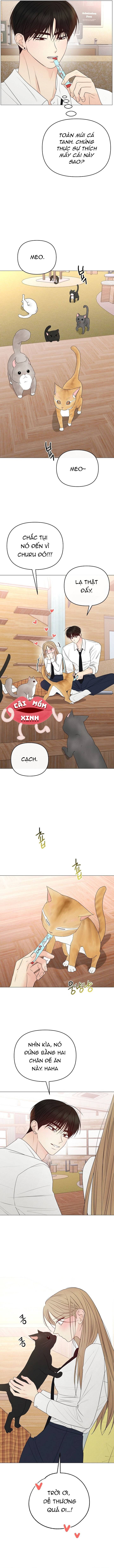 Soái Ca Kiểu Mẫu - Chap 48 - Trang 13