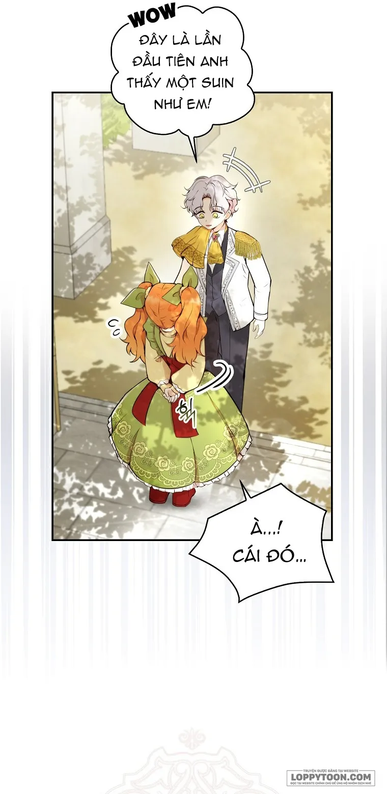 Sóc Con Tài Năng - Chap 1 - Trang 42