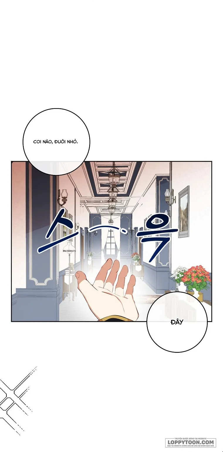 Sóc Con Tài Năng - Chap 10 - Trang 35