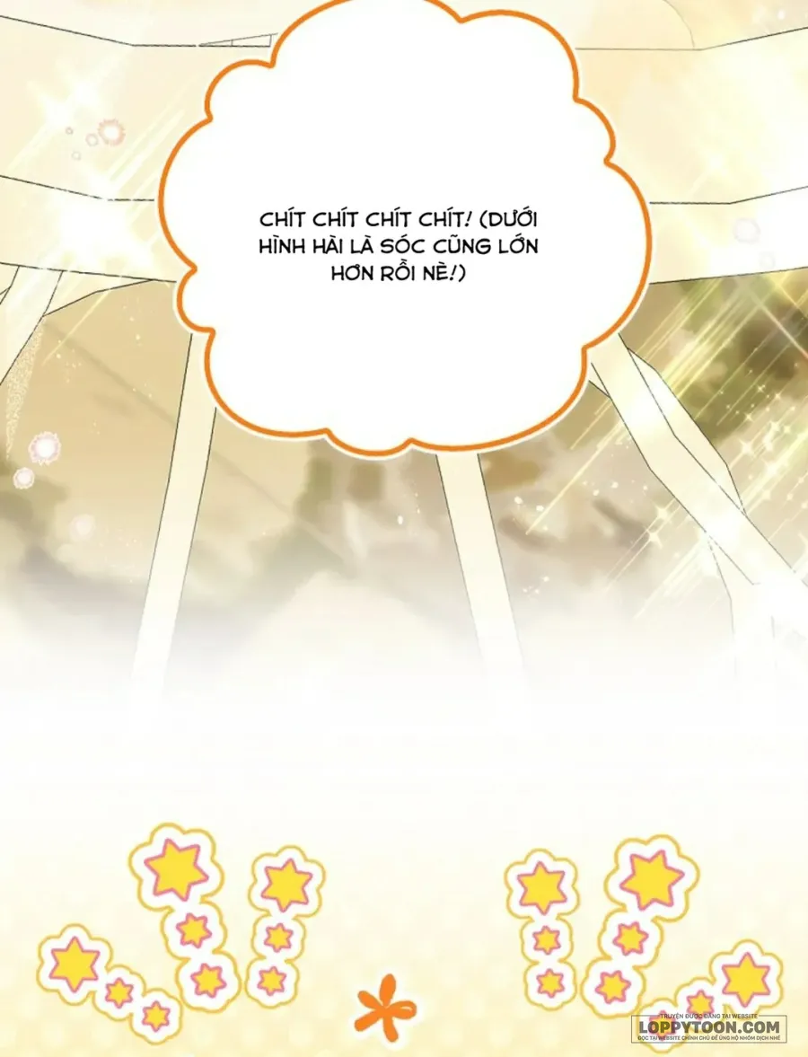 Sóc Con Tài Năng - Chap 100 - Trang 26