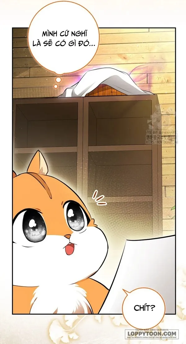 Sóc Con Tài Năng - Chap 104 - Trang 36