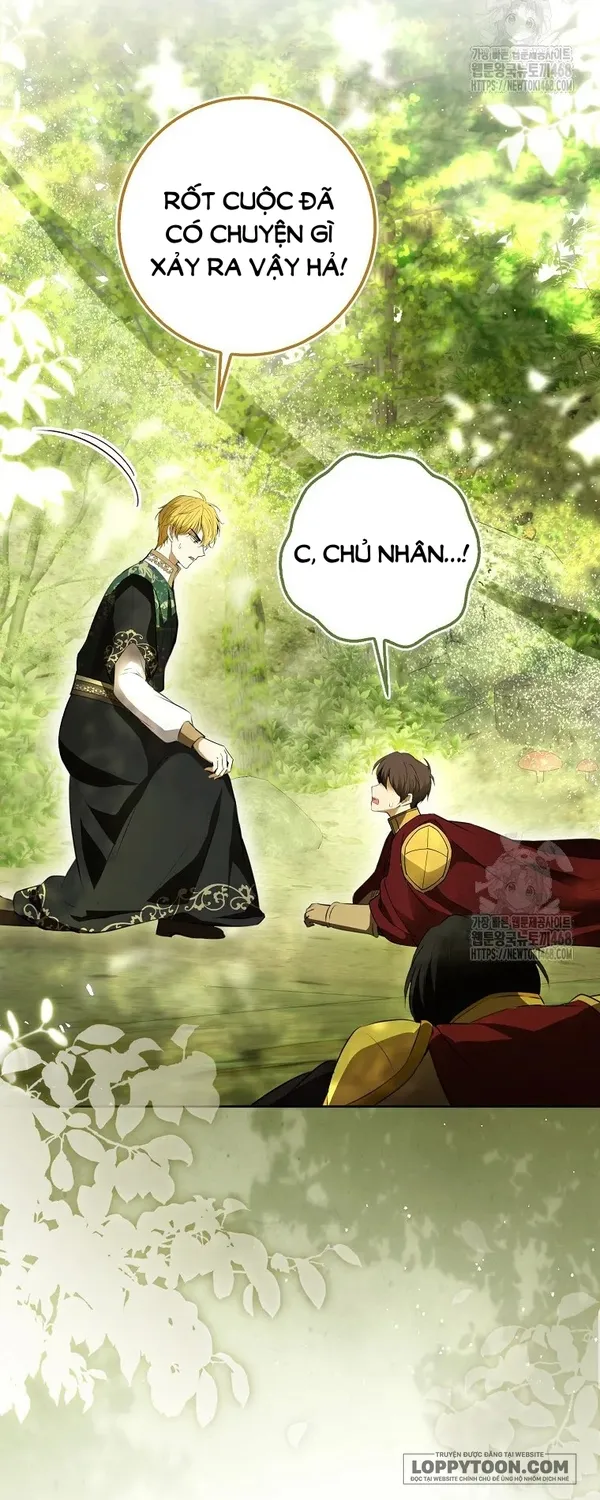 Sóc Con Tài Năng - Chap 104 - Trang 6