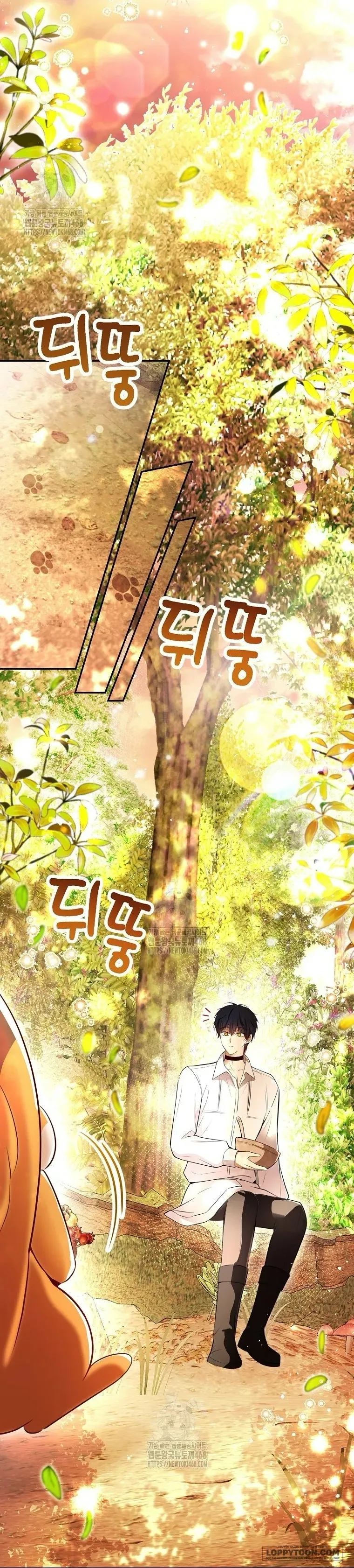 Sóc Con Tài Năng - Chap 113 - Trang 11