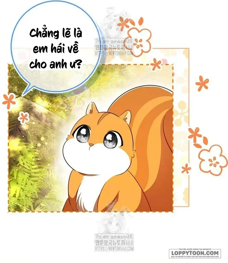 Sóc Con Tài Năng - Chap 113 - Trang 15