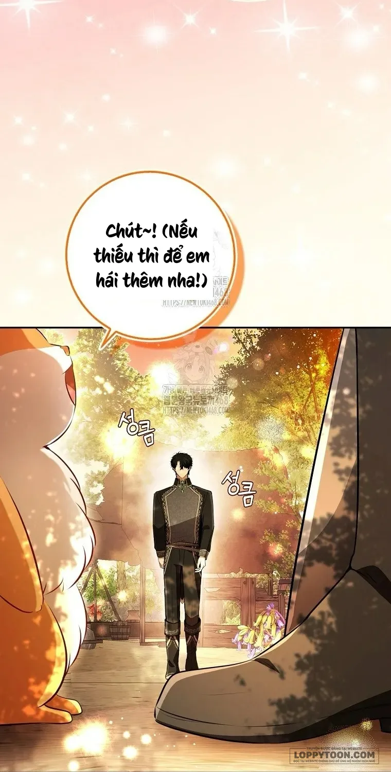 Sóc Con Tài Năng - Chap 113 - Trang 18
