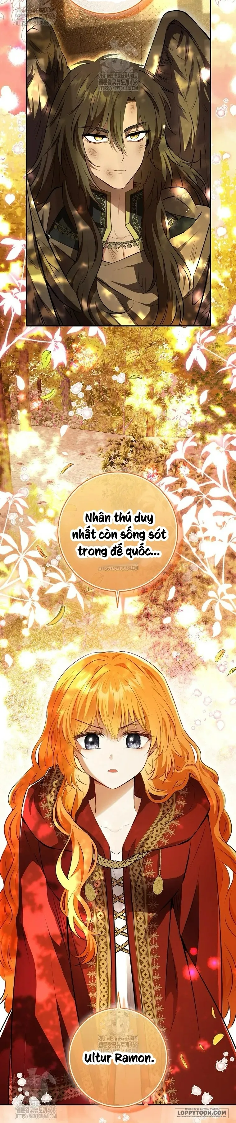 Sóc Con Tài Năng - Chap 113 - Trang 33