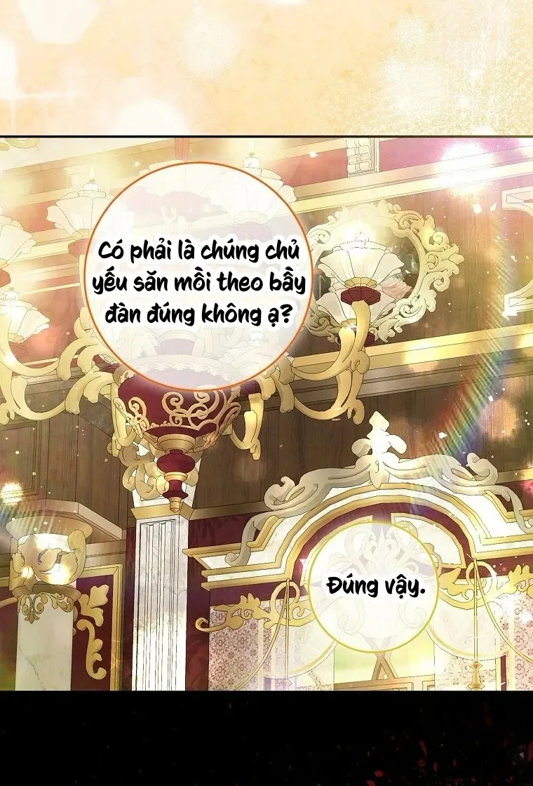 Sóc Con Tài Năng - Chap 115 - Trang 27
