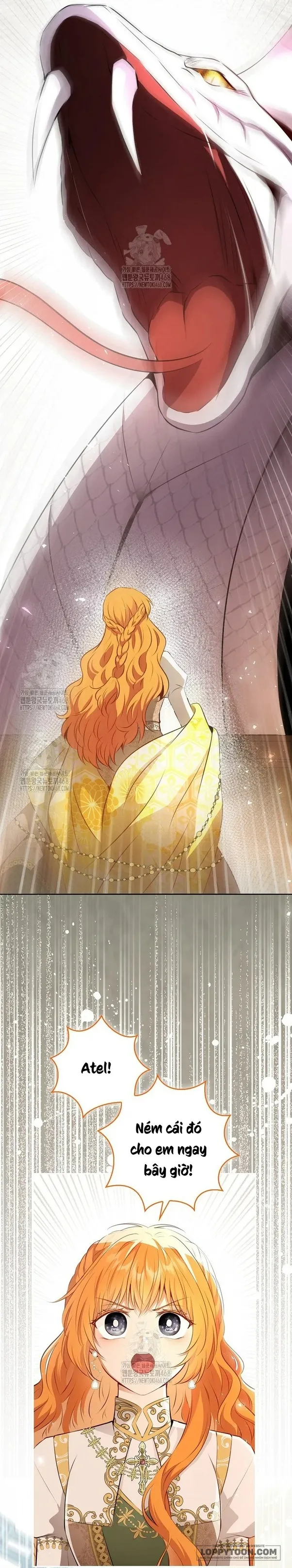 Sóc Con Tài Năng - Chap 117 - Trang 43
