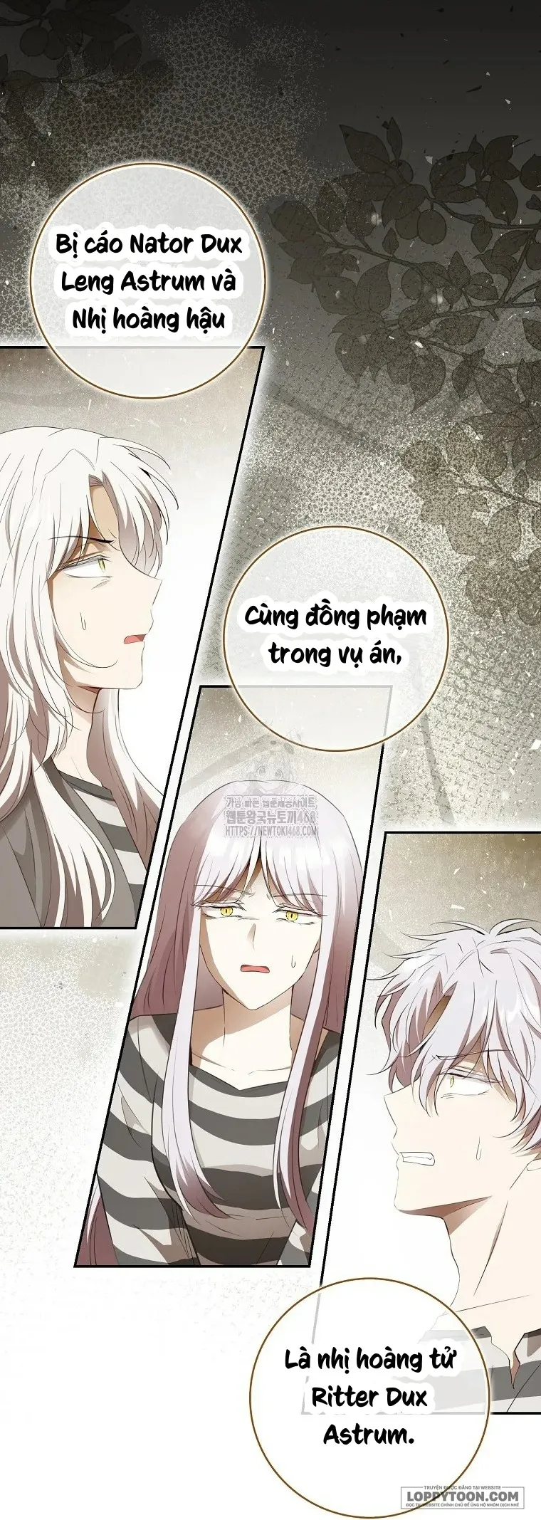 Sóc Con Tài Năng - Chap 118 - Trang 3