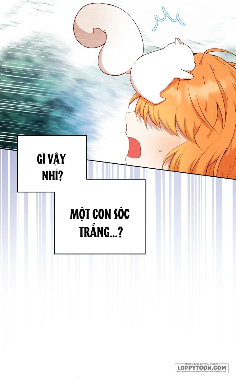 Sóc Con Tài Năng - Chap 12 - Trang 64