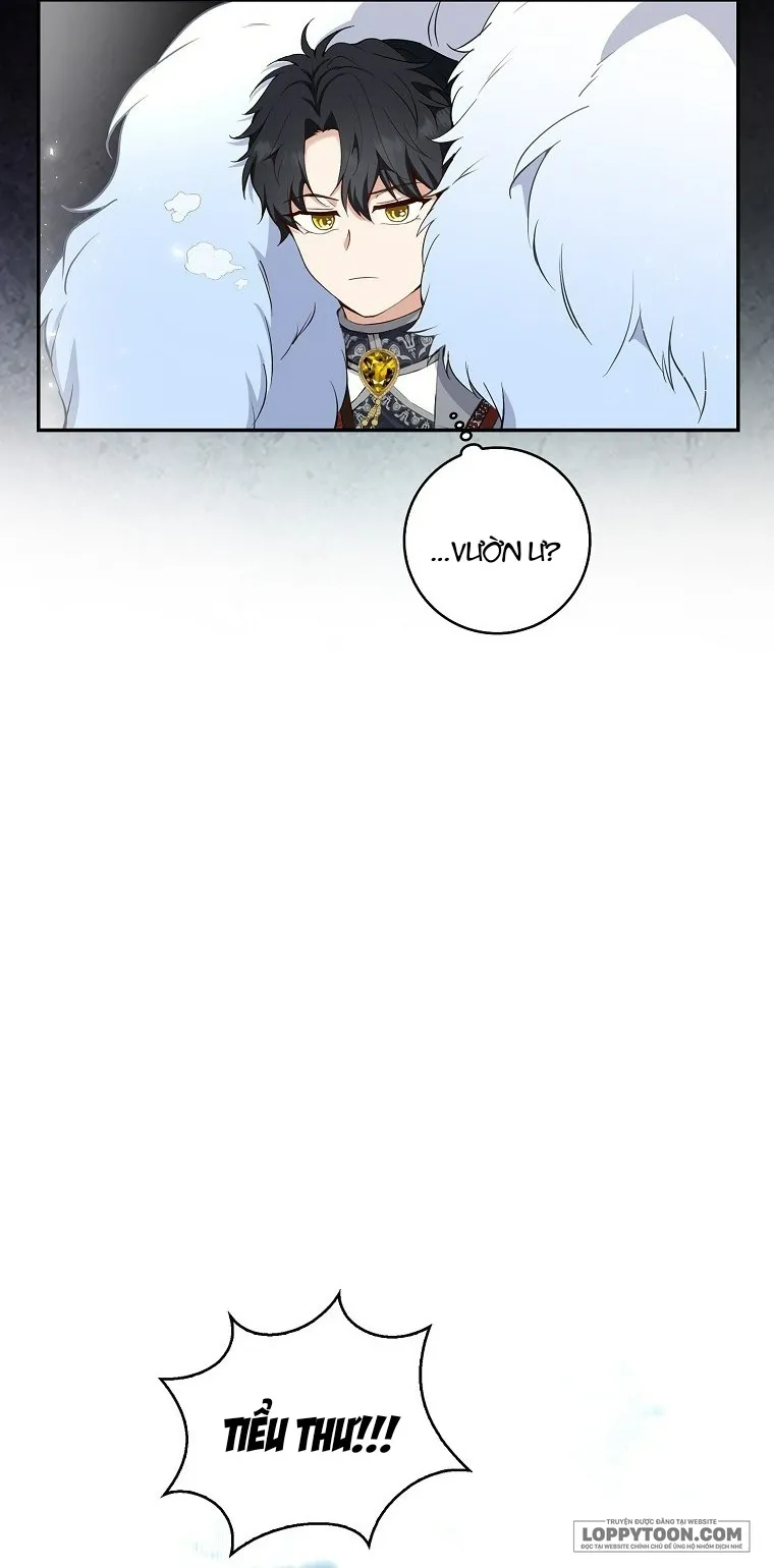 Sóc Con Tài Năng - Chap 13 - Trang 17