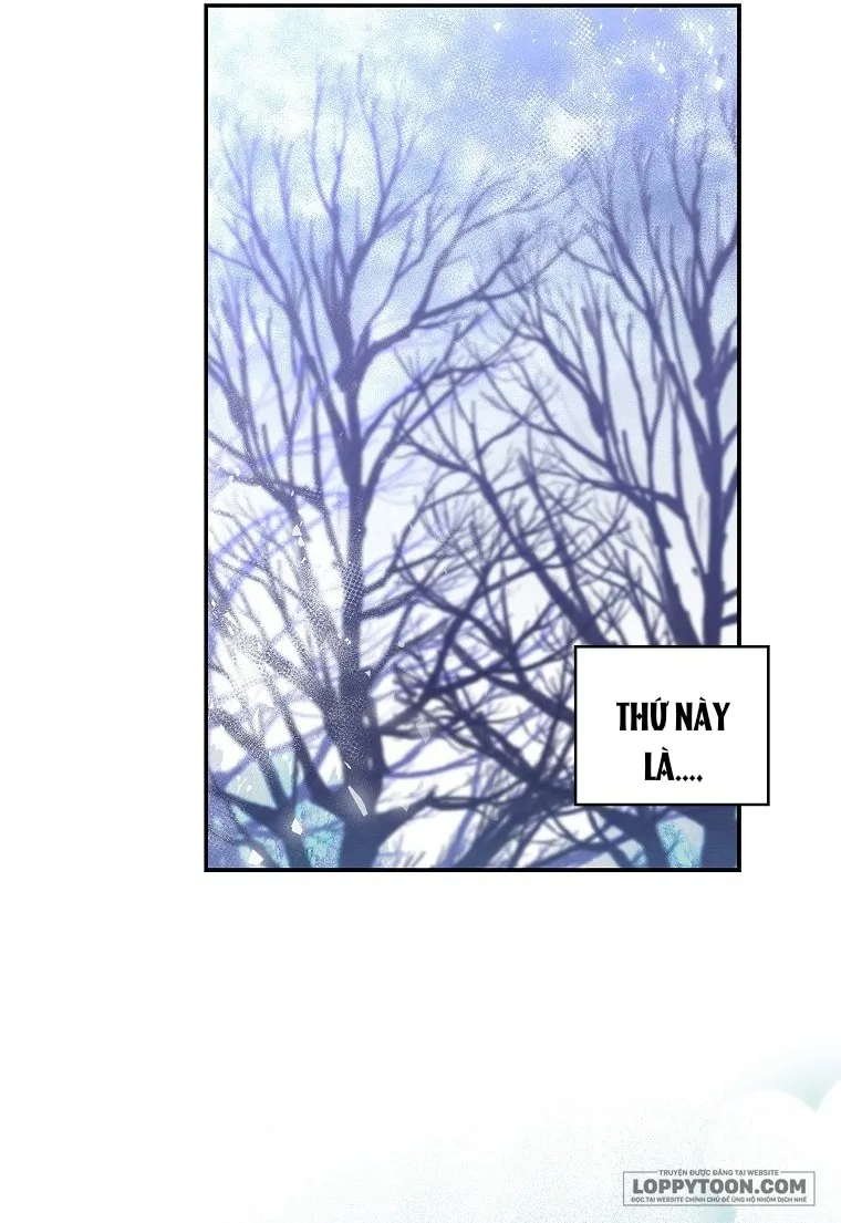 Sóc Con Tài Năng - Chap 13 - Trang 28