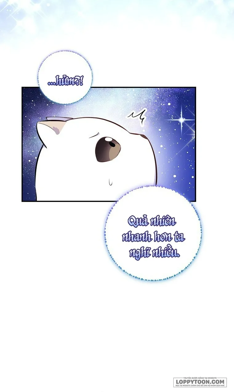 Sóc Con Tài Năng - Chap 13 - Trang 49