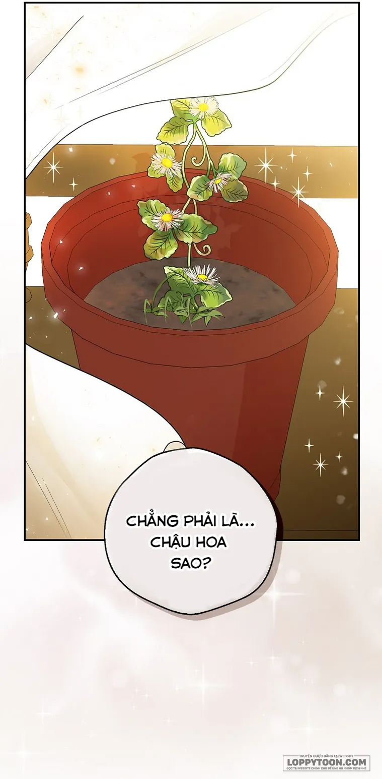 Sóc Con Tài Năng - Chap 19 - Trang 15
