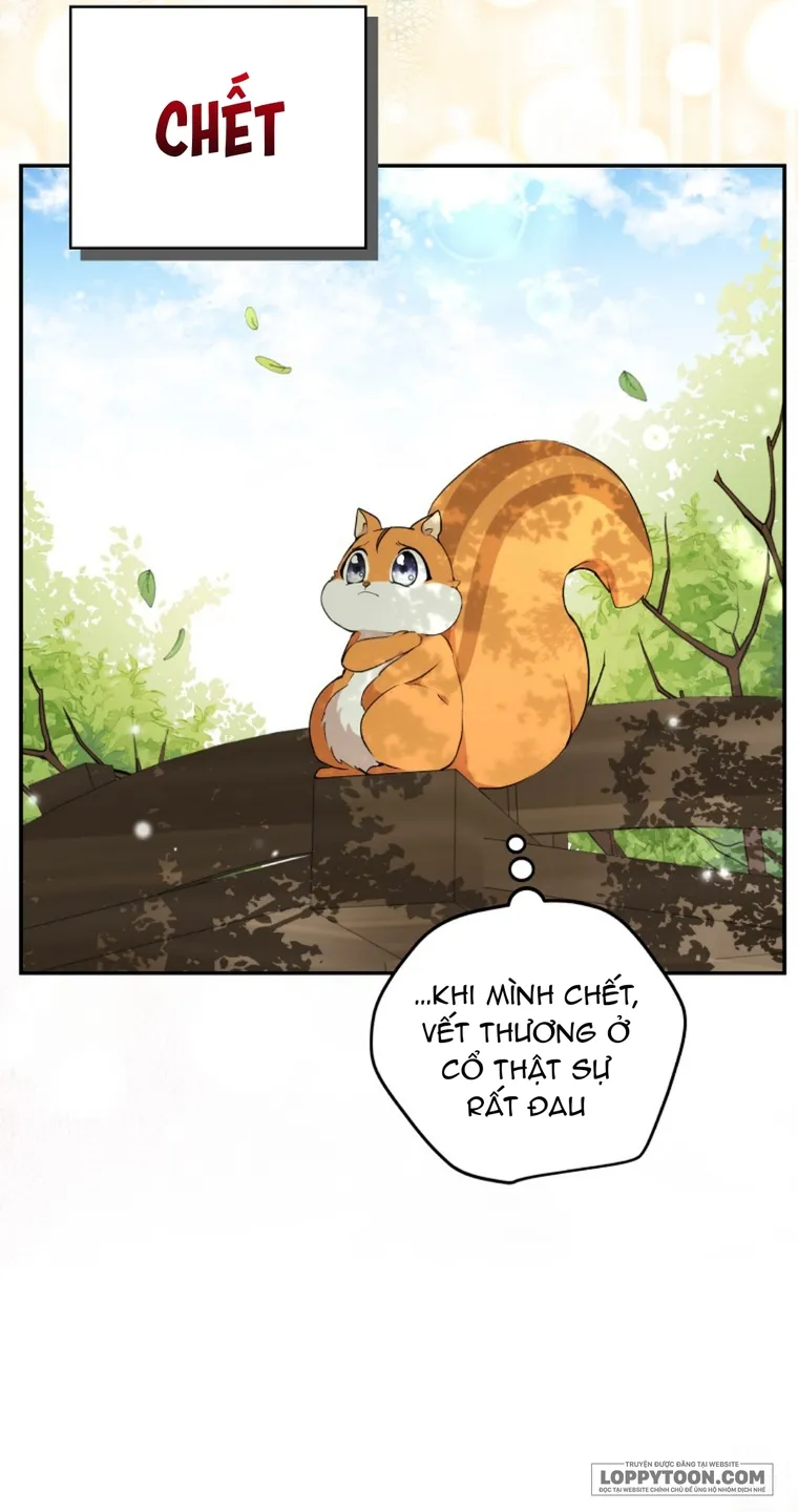 Sóc Con Tài Năng - Chap 2 - Trang 66