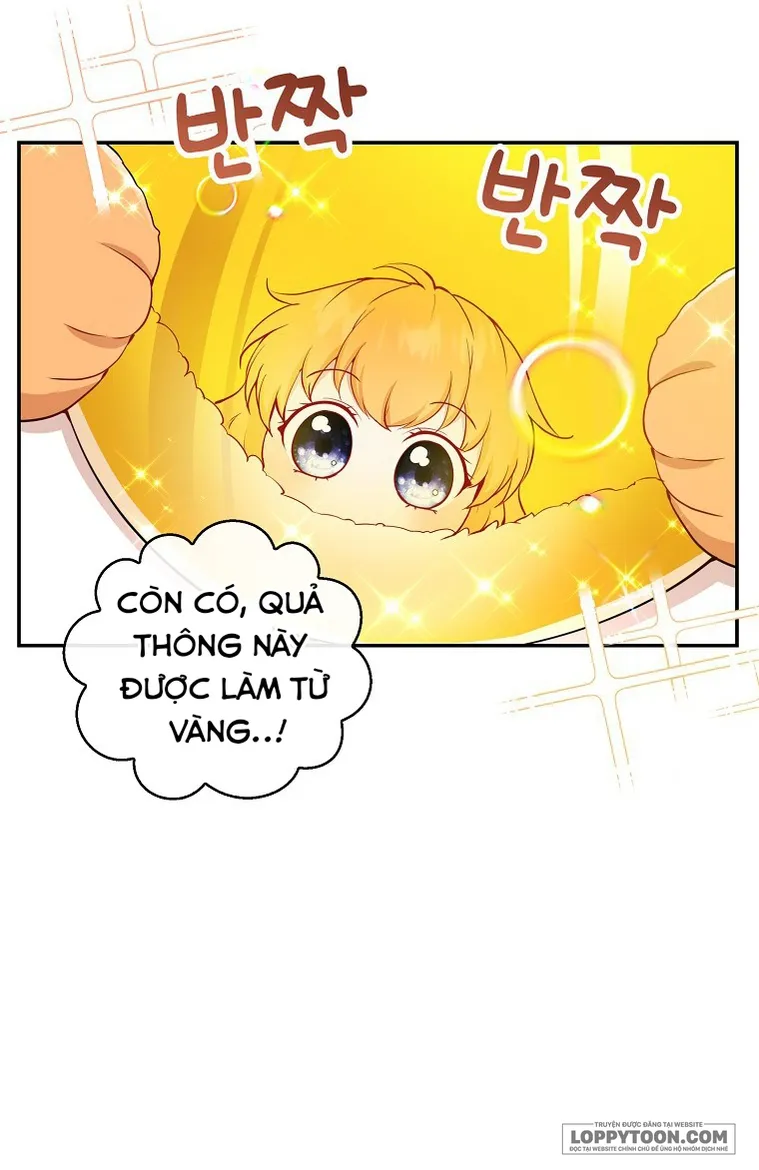 Sóc Con Tài Năng - Chap 21 - Trang 10