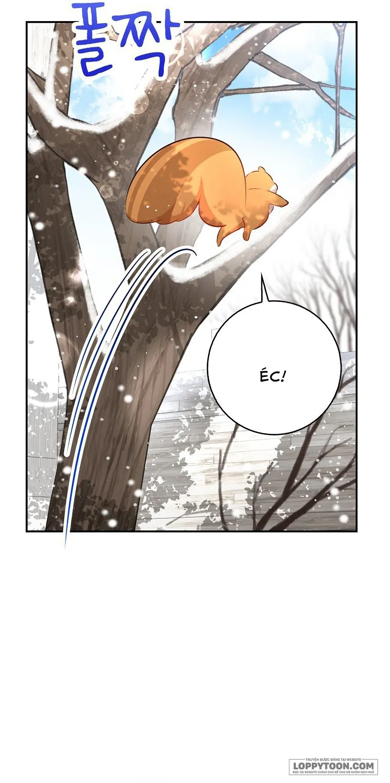 Sóc Con Tài Năng - Chap 22 - Trang 42