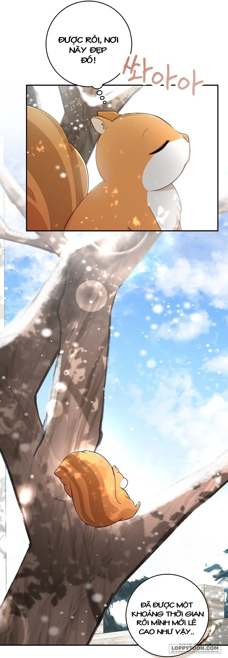 Sóc Con Tài Năng - Chap 22 - Trang 43
