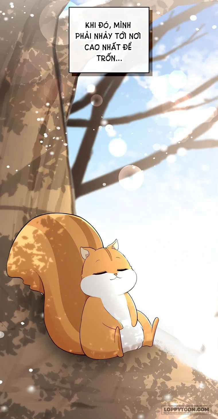 Sóc Con Tài Năng - Chap 22 - Trang 46