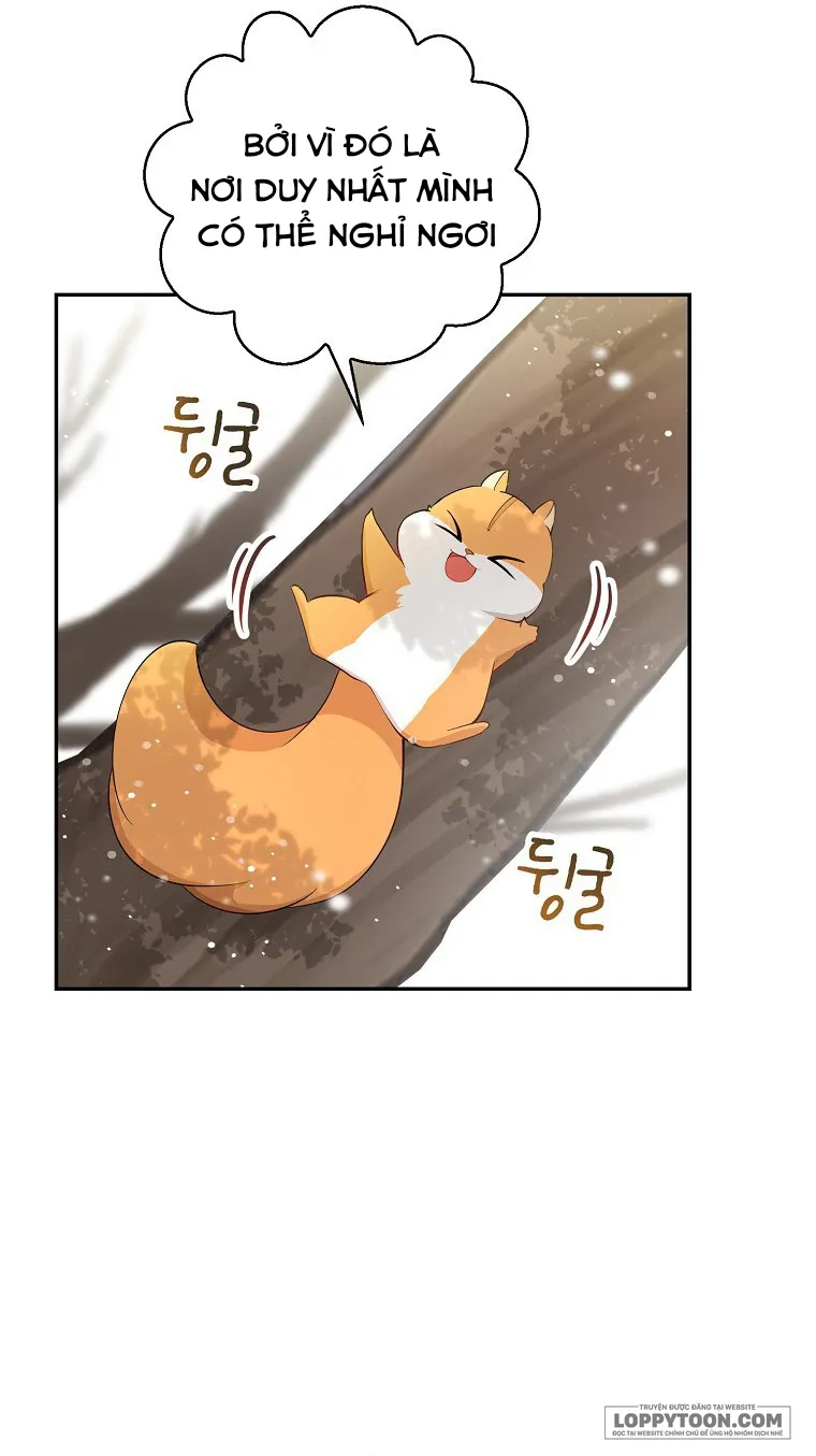 Sóc Con Tài Năng - Chap 22 - Trang 48