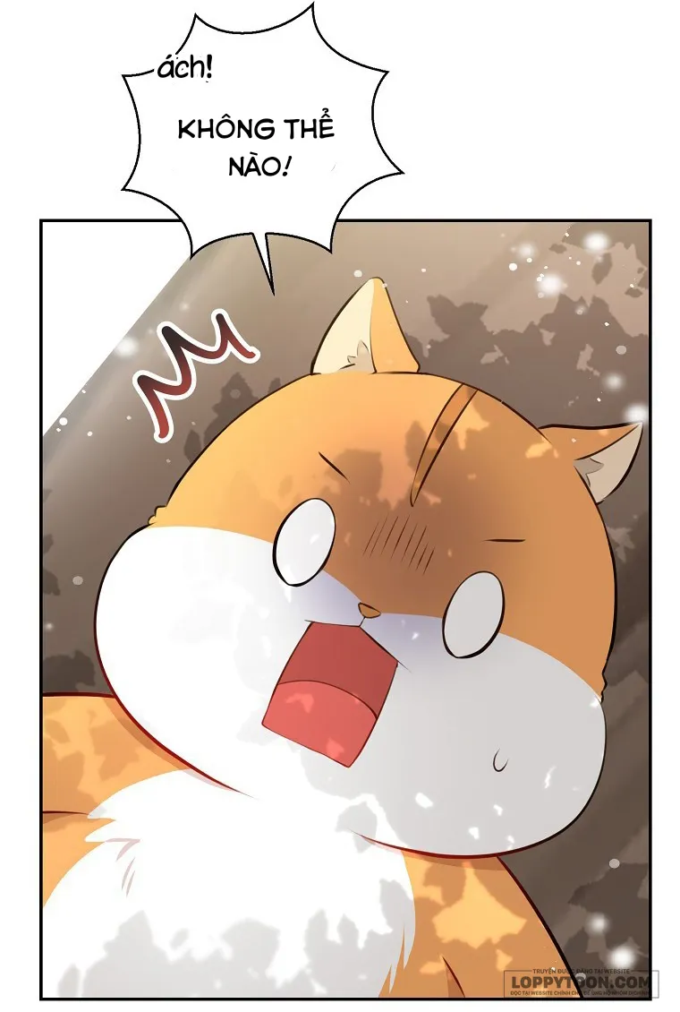 Sóc Con Tài Năng - Chap 22 - Trang 49