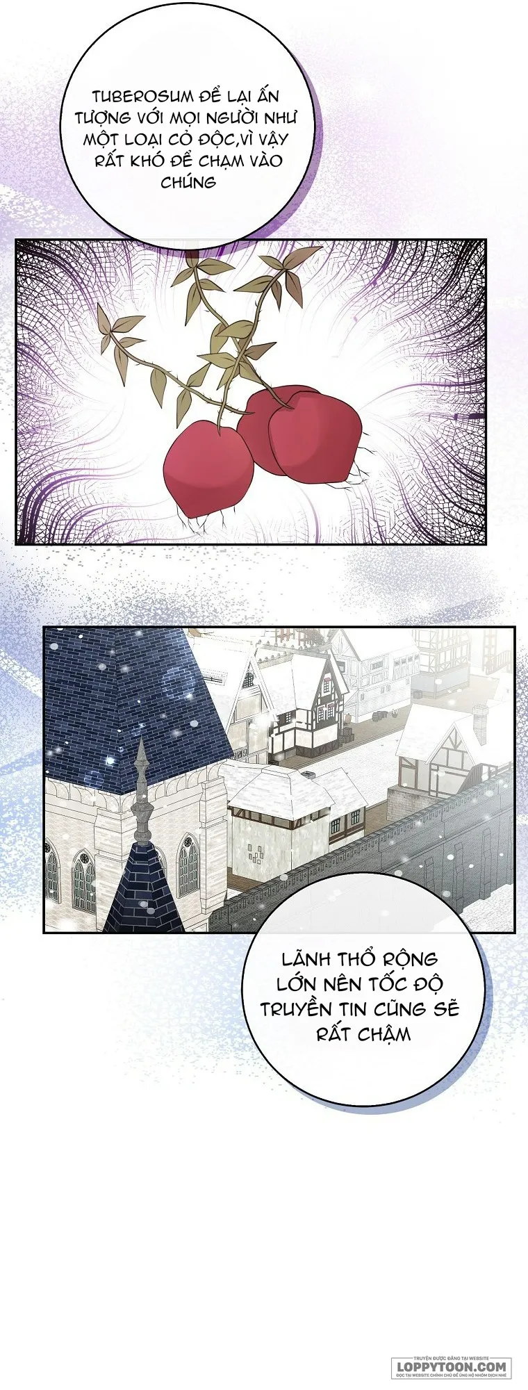 Sóc Con Tài Năng - Chap 26 - Trang 55