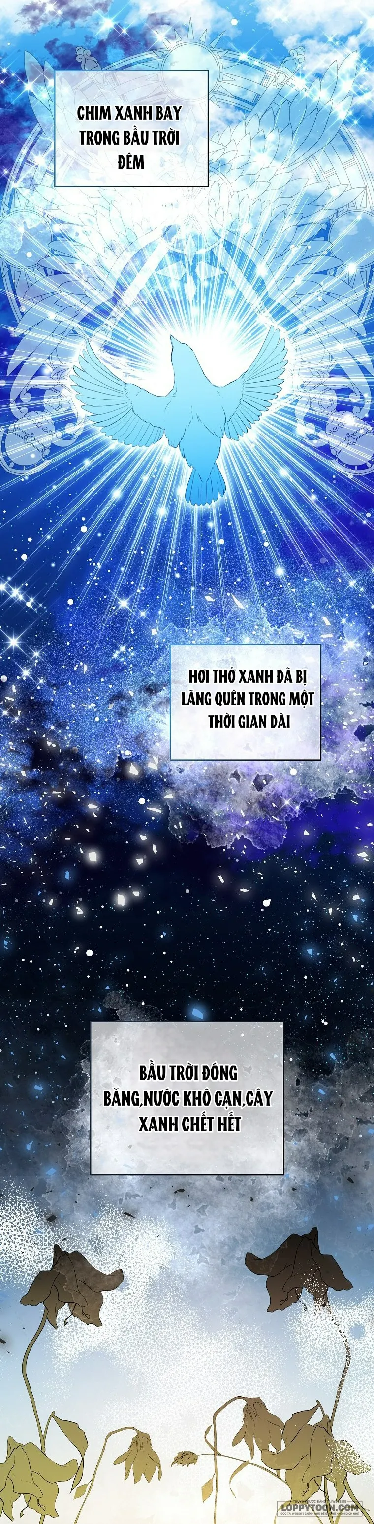 Sóc Con Tài Năng - Chap 26 - Trang 10