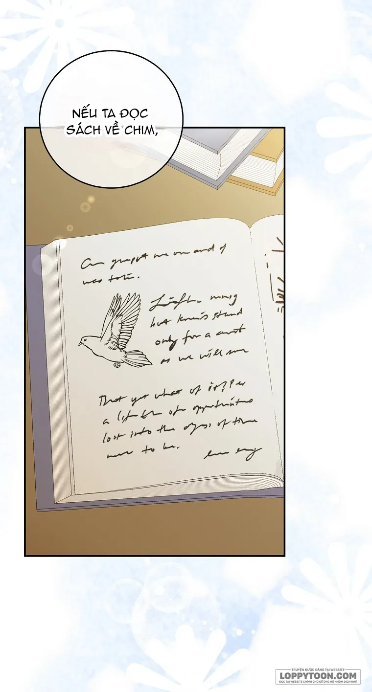 Sóc Con Tài Năng - Chap 27 - Trang 11
