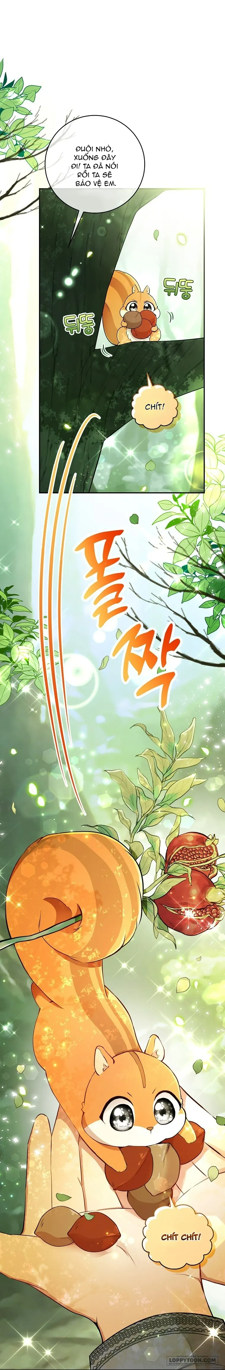 Sóc Con Tài Năng - Chap 29 - Trang 24