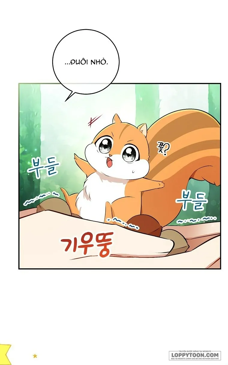 Sóc Con Tài Năng - Chap 29 - Trang 27