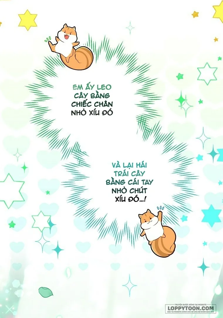 Sóc Con Tài Năng - Chap 29 - Trang 28