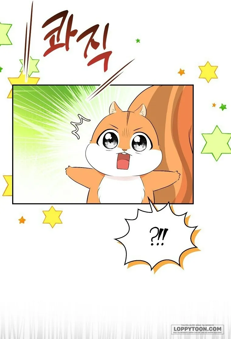 Sóc Con Tài Năng - Chap 29 - Trang 38