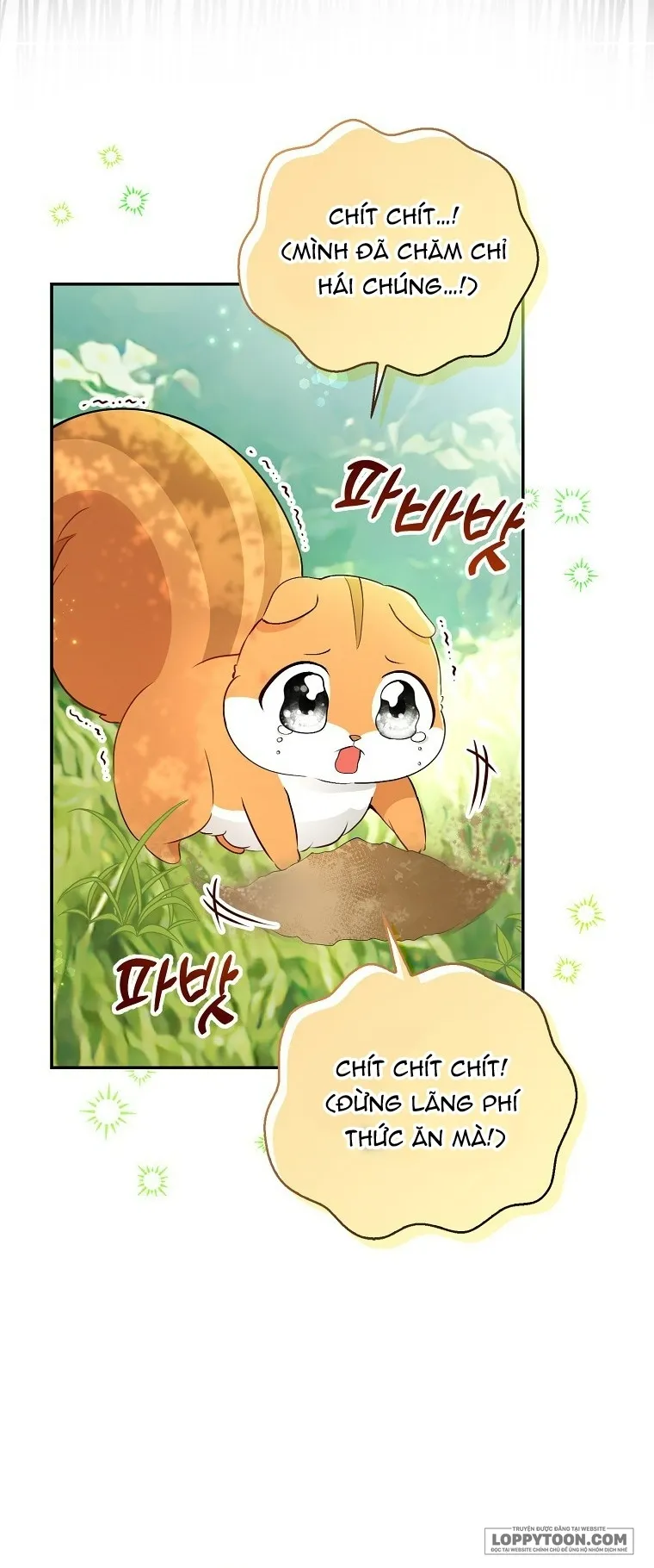 Sóc Con Tài Năng - Chap 29 - Trang 40