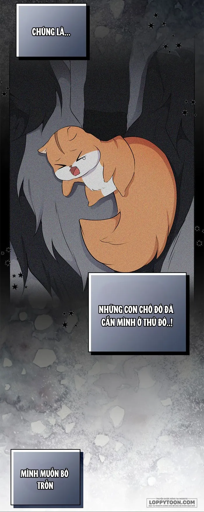 Sóc Con Tài Năng - Chap 30 - Trang 3