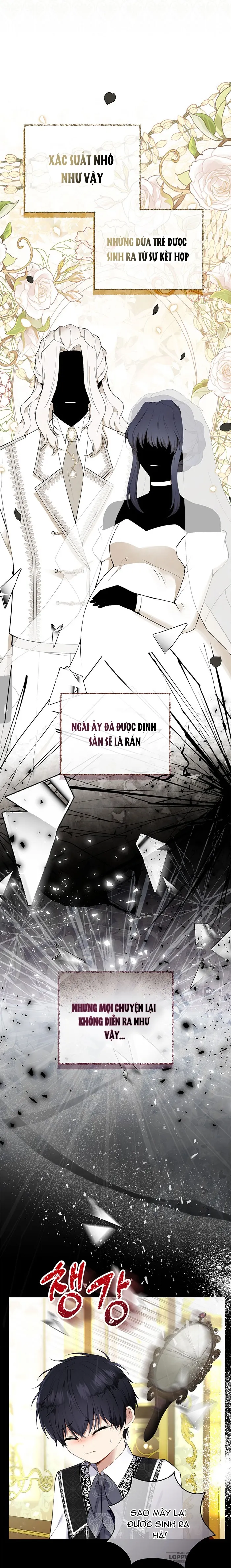 Sóc Con Tài Năng - Chap 31 - Trang 6