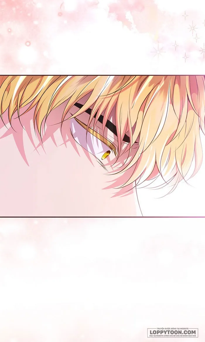 Sóc Con Tài Năng - Chap 36 - Trang 26