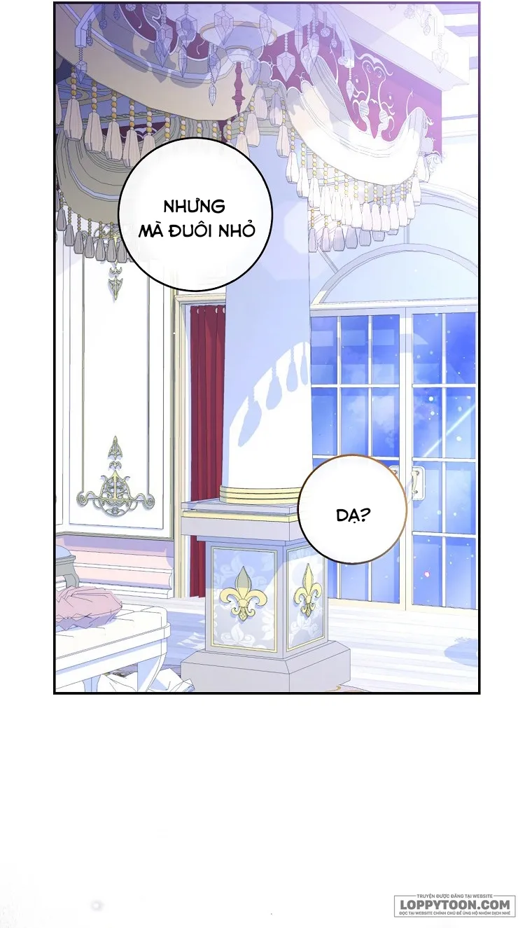 Sóc Con Tài Năng - Chap 38 - Trang 16