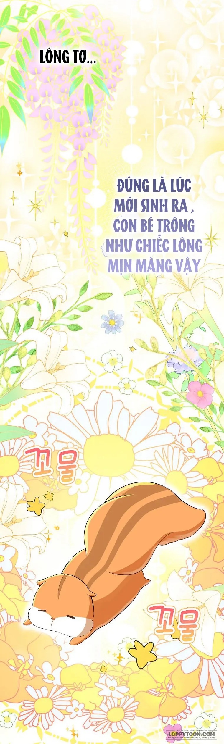 Sóc Con Tài Năng - Chap 43 - Trang 26